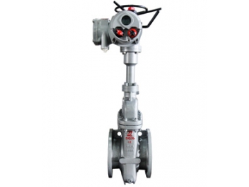 صمام البوابة الإنزلاقية المتوازية                         Parallel Slide Gate Valve