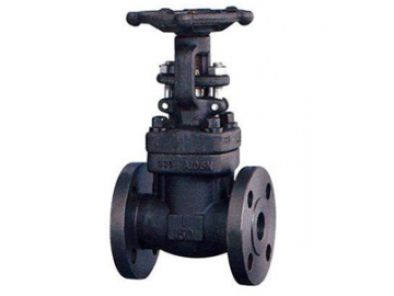 صمام البوابة الوتدية                         Actuated Wedge Gate Valve