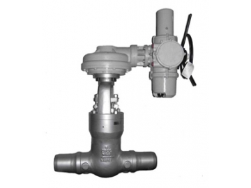 صمام البوابة الوتدية                         Actuated Wedge Gate Valve