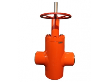 صمام بوابة من الفولاذ المطروق                         Forged Steel Gate Valve