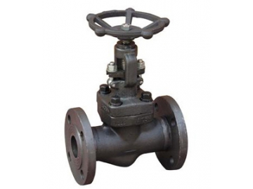 الصمام الكروي                         Globe Valve