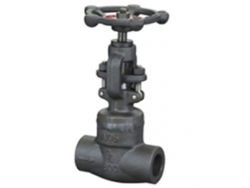 الصمام الكروي                         Globe Valve