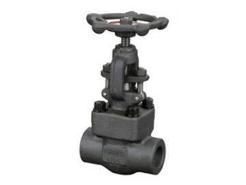 الصمام الكروي                         Globe Valve