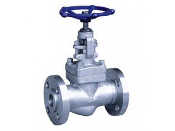 الصمام الكروي                         Globe Valve