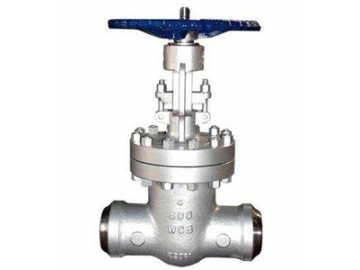 الصمام الكروي                         Globe Valve