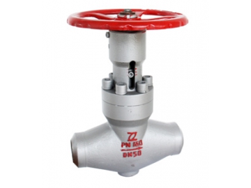 صمام كروي لتنظيم السريان                         Balanced Throttle Globe Valve