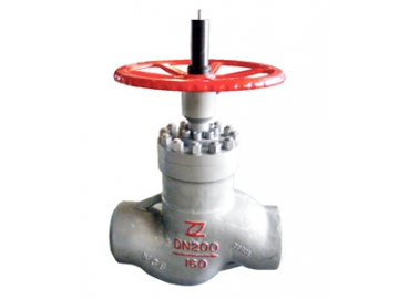 صمام كروي لتنظيم السريان                         Balanced Throttle Globe Valve