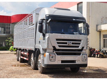 عربة نقل البضائع،  8×4  Euro III Cargo Truck  (Kingkan)