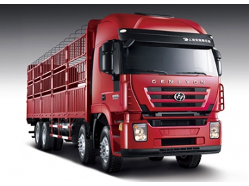 عربة نقل البضائع،  8×4  Euro III Cargo Truck  (Kingkan)