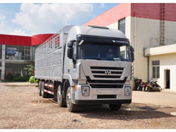 شاحنة نقل بضائع،  8×4  Euro IV Cargo Truck  (Kingkan)