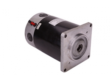 มอเตอร์ไดรฟ์ 400-800W สำหรับมอเตอร์แม่เหล็กถาวร DC   มีแปรงถ่าน ซีรี่ส์ ZD116A1