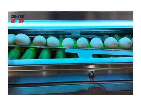 آلة فرز البيض 102BP (5000 بيضة في الساعة) 102BP Egg Grader