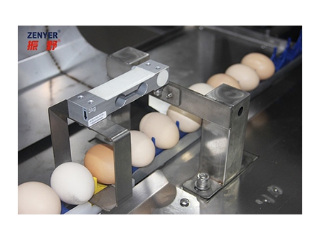 آلة فرز البيض 102BP (5000 بيضة في الساعة) 102BP Egg Grader