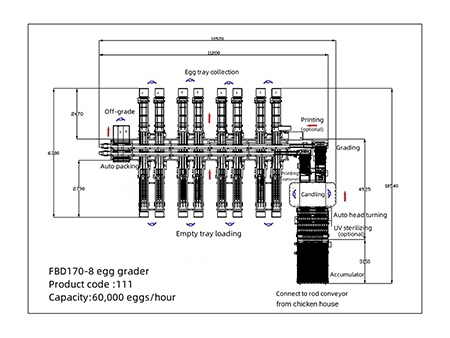 آلة فرز البيض 111 (60,000 بيضة في الساعة) 111 Egg Grader