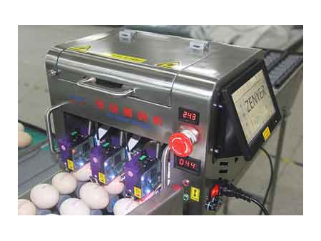 آلة فرز البيض 102A (5400 بيضة في الساعة) Egg Grader