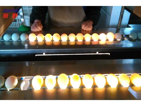 ماكينة غسل البيض 203B (20000 بيضة في الساعة) Egg Washer