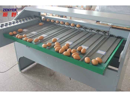 آلة فرز البيض 101B (4000 بيضة في الساعة) Egg Grader