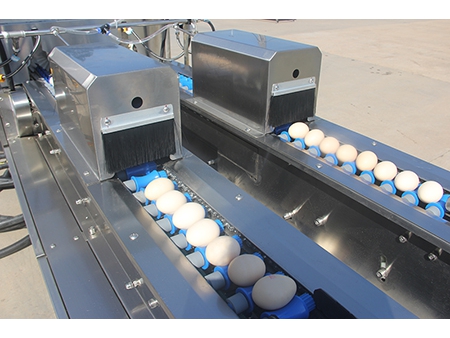 ماكينة غسل البيض 203A (20000 بيضة في الساعة) Egg Washer