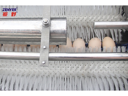 ماكينة غسل البيض 200A (3000 بيضة في الساعة) Egg Washer