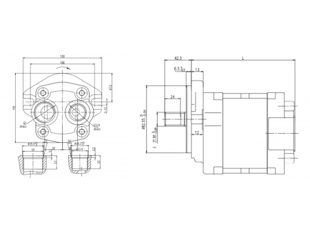 مضخة التروس الهيدروليكية 2.5PF (20 إلى 40 مليلتر لكل دورة) Group 2.5 Hydraulic Gear Pump