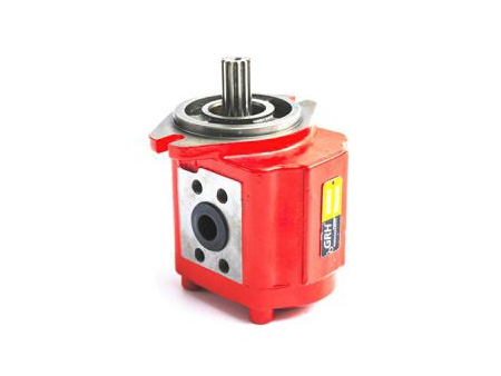 مضخة التروس الهيدروليكية 2.5PF (20 إلى 40 مليلتر لكل دورة) Group 2.5 Hydraulic Gear Pump