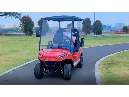 عربة الغولف الكهربائية  2 Passenger Electric Golf Cart