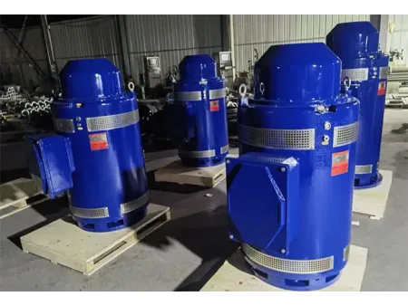 محرك مضخة المياه الرأسية Vertical Water Pump Motor