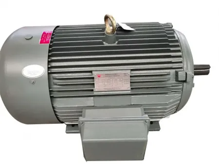 محرك حثي ثلاثي الطور IE4 IE4 Three-Phase Induction Motor