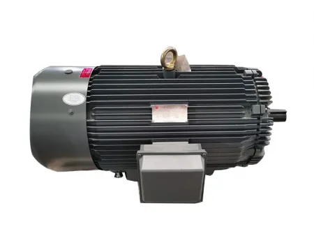 محرك غير متزامن ثلاثي الطور ذو كفاءة عالية NEMA NEMA Premium Efficiency Three-Phase Asynchronous Motor