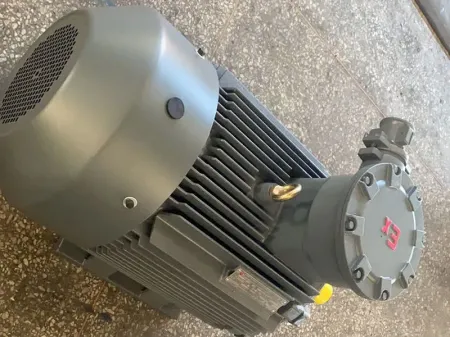 محرك مقاوم للانفجار TEFC TEFC Explosion Proof Motor