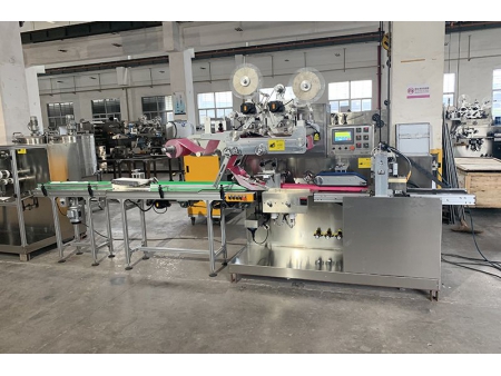 خط إنتاج مناديل مبللة (عبوة 30 إلى 120 منديل/ علبة) Fully Automatic Wet Wipes Packaging Machine