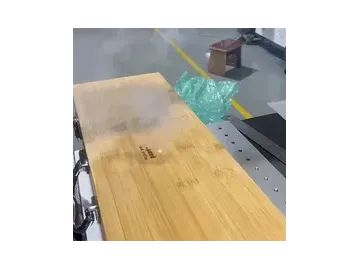 ماكينة وسم ليزر CO₂ ديناميكية