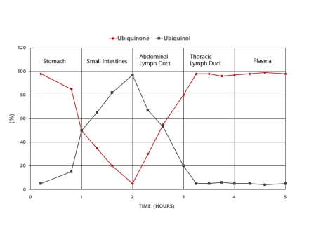 الإنزيم المساعد Q10(كوانزيم كيو 10) Coenzyme Q10