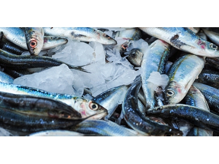 استازانتين Astaxanthin