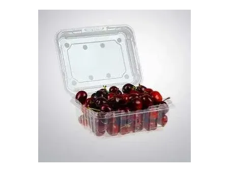 قوالب التشكيل الحراري