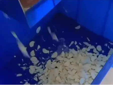 ماكينة تقطيع الخضروات إلى مكعبات بقدرة إنتاجية من 300 إلى 800 كجم \ ساعة Vegetable Dicing Machine