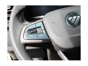 شاحنة نقل خفيف Foton Light Truck (Foton)