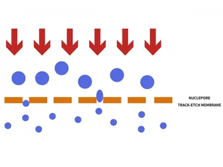 جهاز استخراج الليبوزومات ذو الغلاف الحراري Jacketed Liposome Extruder