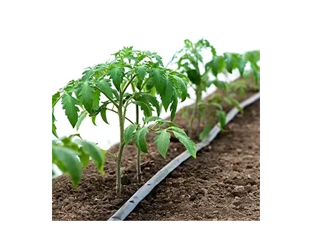 ماكينة تصنيع أنابيب الري بالتنقيط المسطحة Flat Dripper Irrigation Pipe Making Machine