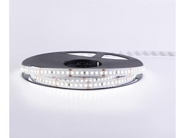 شريط إضاءة LED داخلي مرن 10 ملم 24 فولت D8168