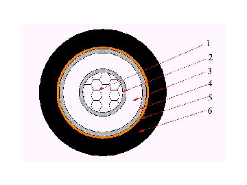 كابل معزول CU / XLPE / CTS / PVC، بجهد من 6 إلى 30 كيلو فولت                     Single Core Cable (CU/XLPE/CTS/PVC)