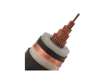 كابل معزول CU / XLPE / CTS / PVC، بجهد من 6 إلى 30 كيلو فولت                     Single Core Cable (CU/XLPE/CTS/PVC)