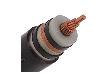 كابل معزول CU / XLPE / CTS / PVC، بجهد من 6 إلى 30 كيلو فولت                     Single Core Cable (CU/XLPE/STA/PVC)