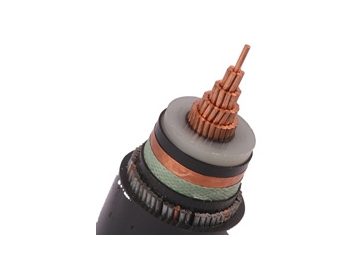 كابل معزول CU / XLPE / SWA / PVC، بجهد من 6 إلى 30 كيلو فولت                     Single Core Cable (CU/XLPE/SWA/PVC