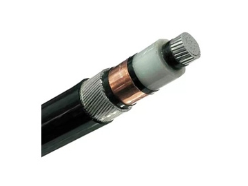 كابل معزول AL / XLPE / SWA / PVC، بجهد من 6 إلى 30 كيلو فولت                     Single Core Cable (AL/XLPE/SWA/PVC)