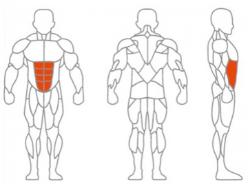 آلة تمرين البطن،