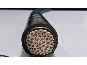 كابل تحكم محمي بشريط من النحاس، معزول بمادة PVC مغطى بمادة PVC CU/PVC/CTS/PVC 0.6/1kV Copper Tape Screen Control Cable