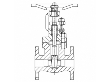 صمام الجلوب                     Gate Valve