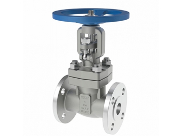 صمام الجلوب                     Gate Valve