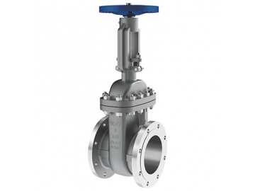 صمام الجلوب                     Gate Valve